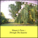 Nature's Voice: Through the Seasons